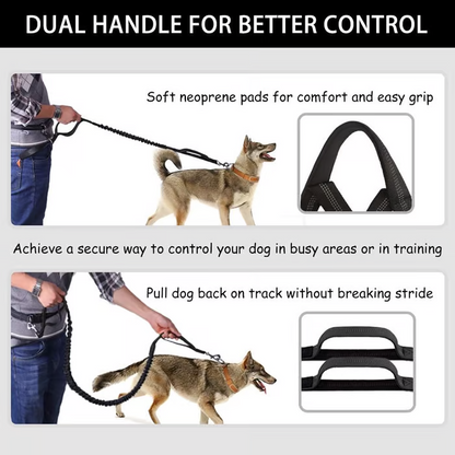 Comfortable No Pull Dog Harness Leash