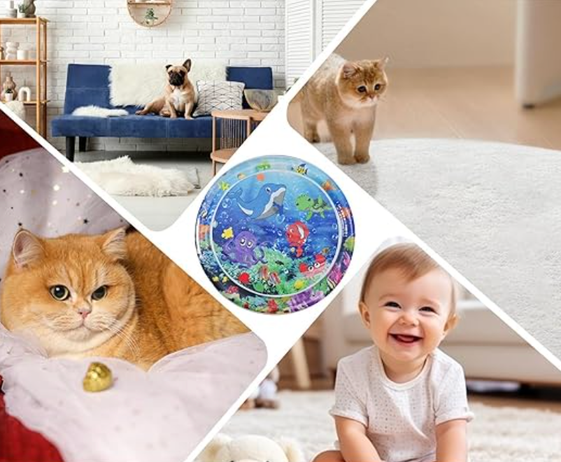 Playful Kitten Entertainment Toy