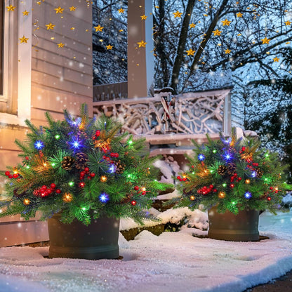 Premium | Bright Christmas String Lights