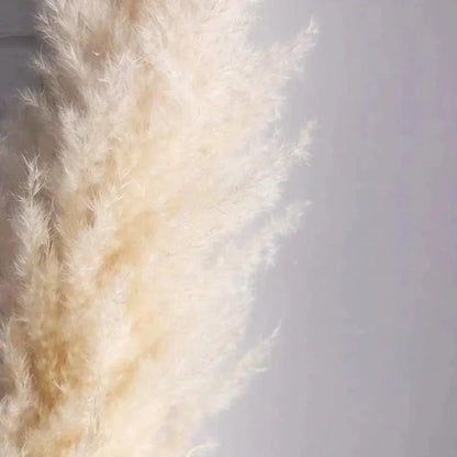 Beautiful Dry Pampas Grass Home Decor Centerpiece