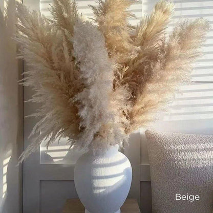 Beautiful Dry Pampas Grass Home Decor Centerpiece