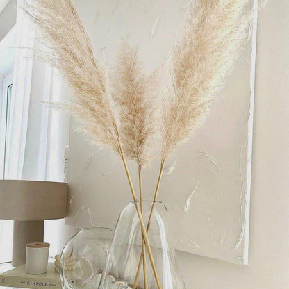Beautiful Dry Pampas Grass Home Decor Centerpiece