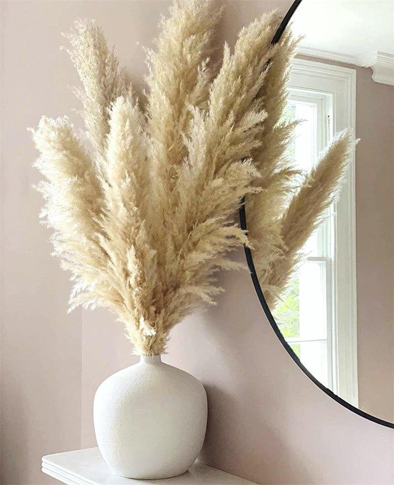 Beautiful Dry Pampas Grass Home Decor Centerpiece