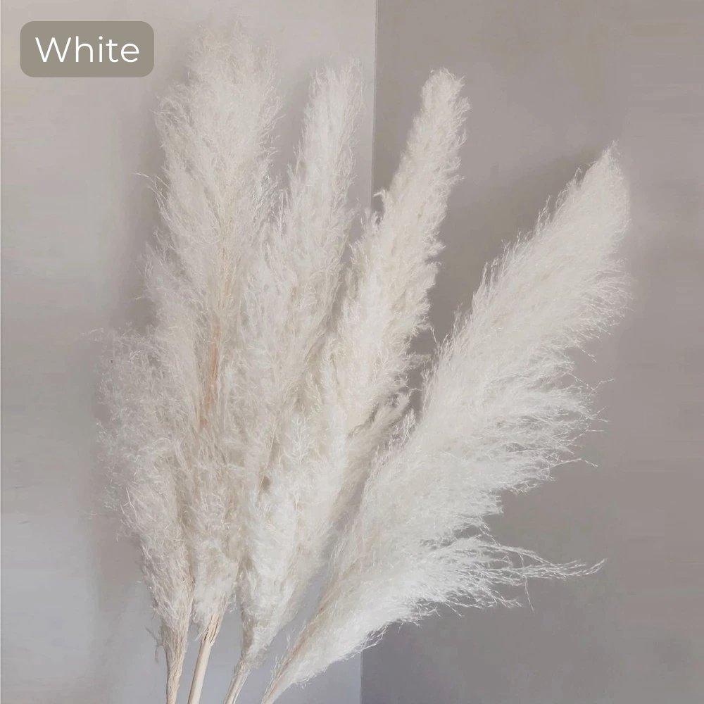 Beautiful Dry Pampas Grass Home Decor Centerpiece