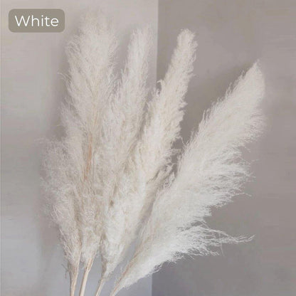 Beautiful Dry Pampas Grass Home Decor Centerpiece
