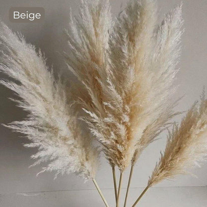 Beautiful Dry Pampas Grass Home Decor Centerpiece