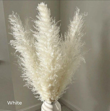 Beautiful Dry Pampas Grass Home Decor Centerpiece