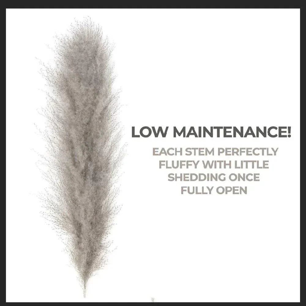 Beautiful Dry Pampas Grass Home Decor Centerpiece