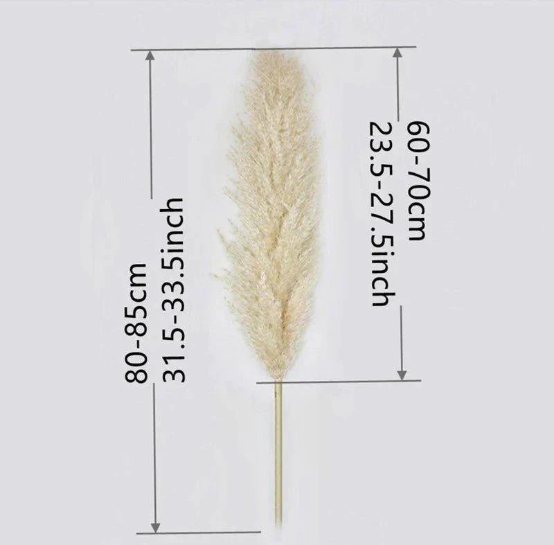 Beautiful Dry Pampas Grass Home Decor Centerpiece