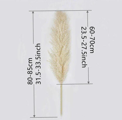 Beautiful Dry Pampas Grass Home Decor Centerpiece