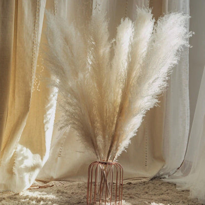Beautiful Dry Pampas Grass Home Decor Centerpiece