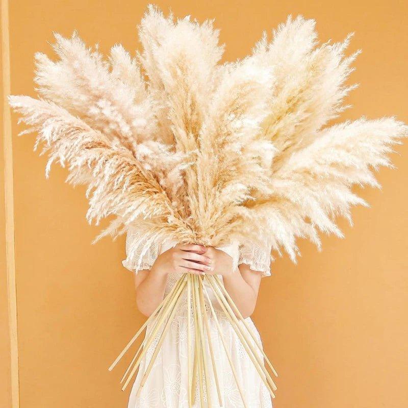Beautiful Dry Pampas Grass Home Decor Centerpiece