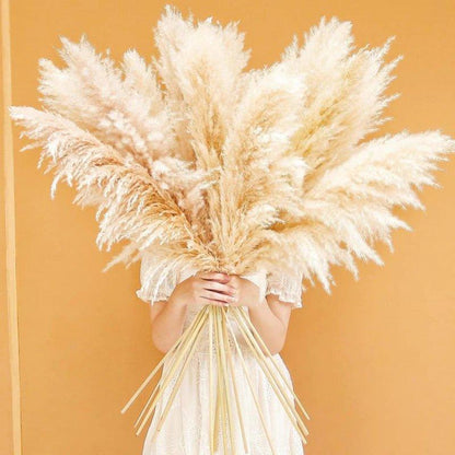 Beautiful Dry Pampas Grass Home Decor Centerpiece