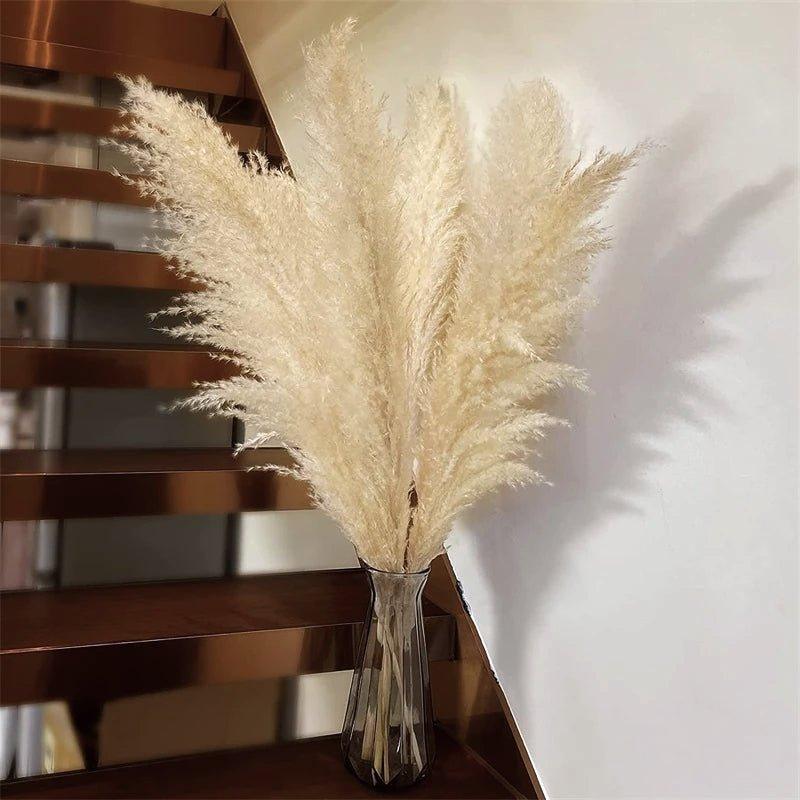 Beautiful Dry Pampas Grass Home Decor Centerpiece