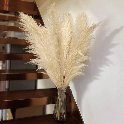 Beautiful Dry Pampas Grass Home Decor Centerpiece