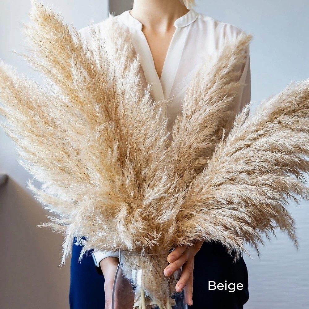 Beautiful Dry Pampas Grass Home Decor Centerpiece