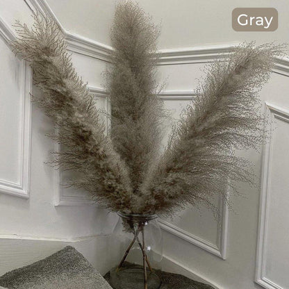 Beautiful Dry Pampas Grass Home Decor Centerpiece