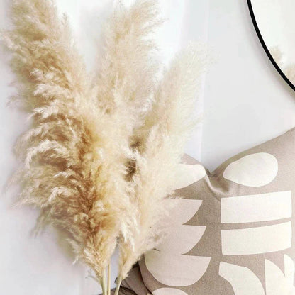 Beautiful Dry Pampas Grass Home Decor Centerpiece