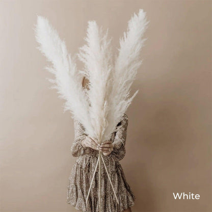 Beautiful Dry Pampas Grass Home Decor Centerpiece