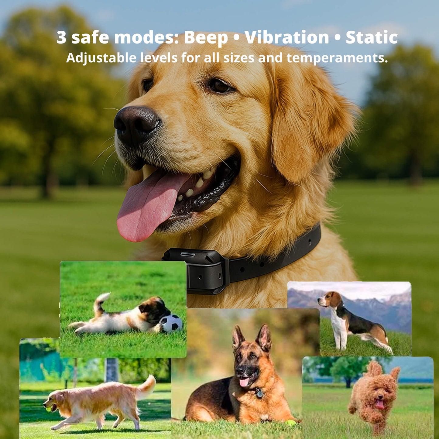 Durable Wireless Pet Training Collar with Remote