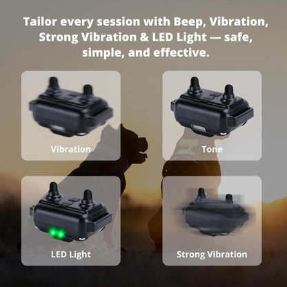 Durable Wireless Pet Training Collar with Remote