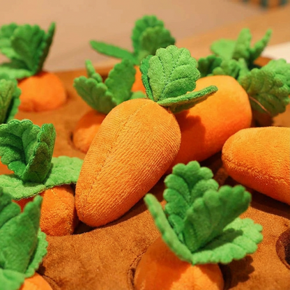 Fun Orange Plush Dog Play Toy