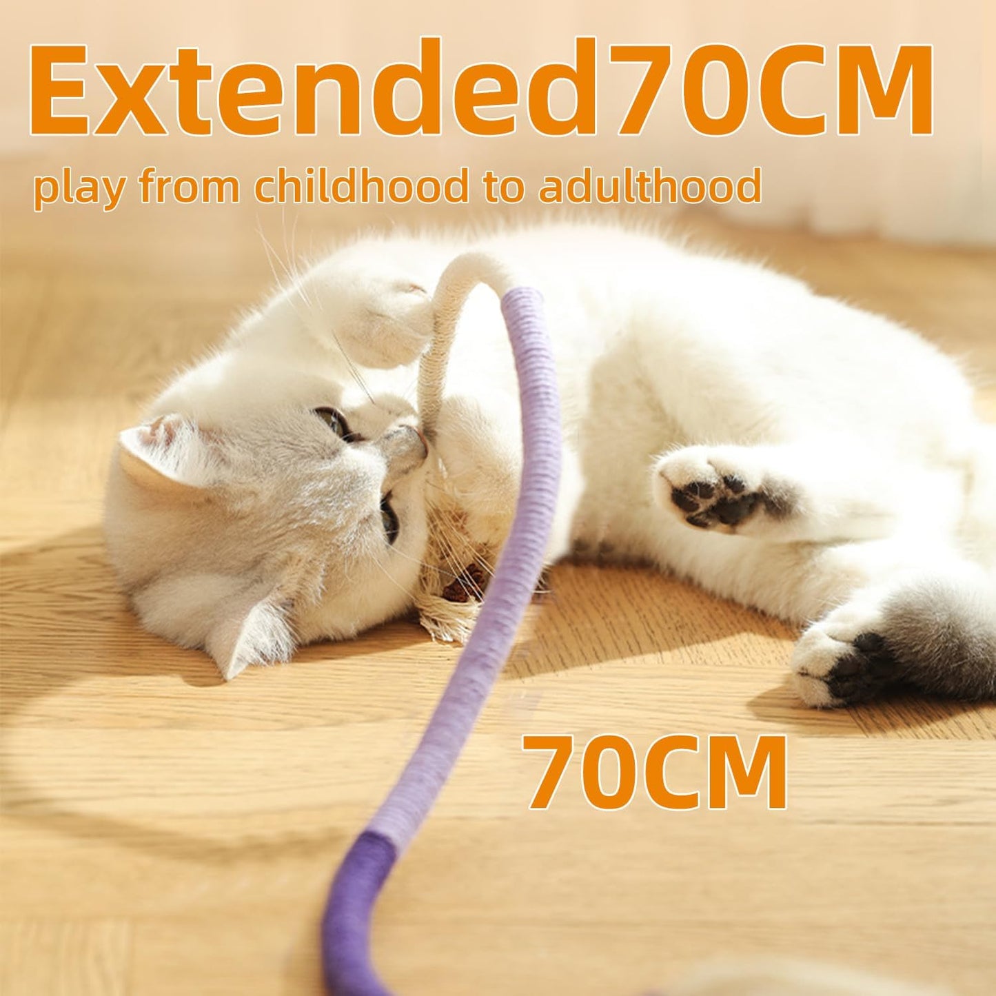 Playful Kitten Entertainment Toy