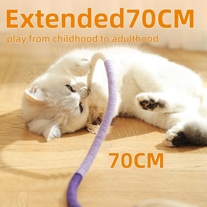 Playful Kitten Entertainment Toy