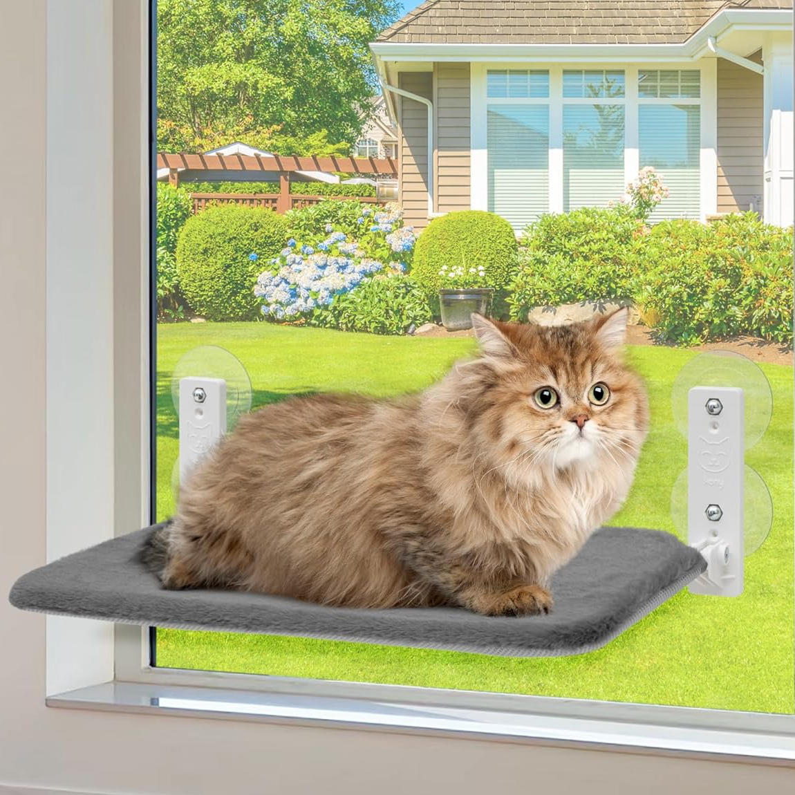 Cozy Kitty Window Perch