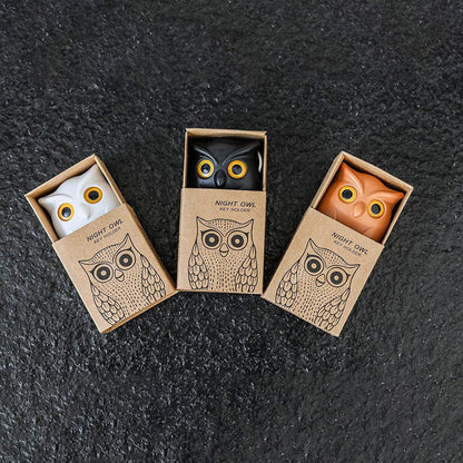 Colorful Bird Key Holder