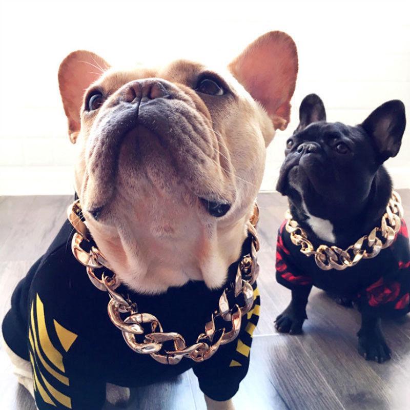 Luxury Pet Gold Chain Choker Collar