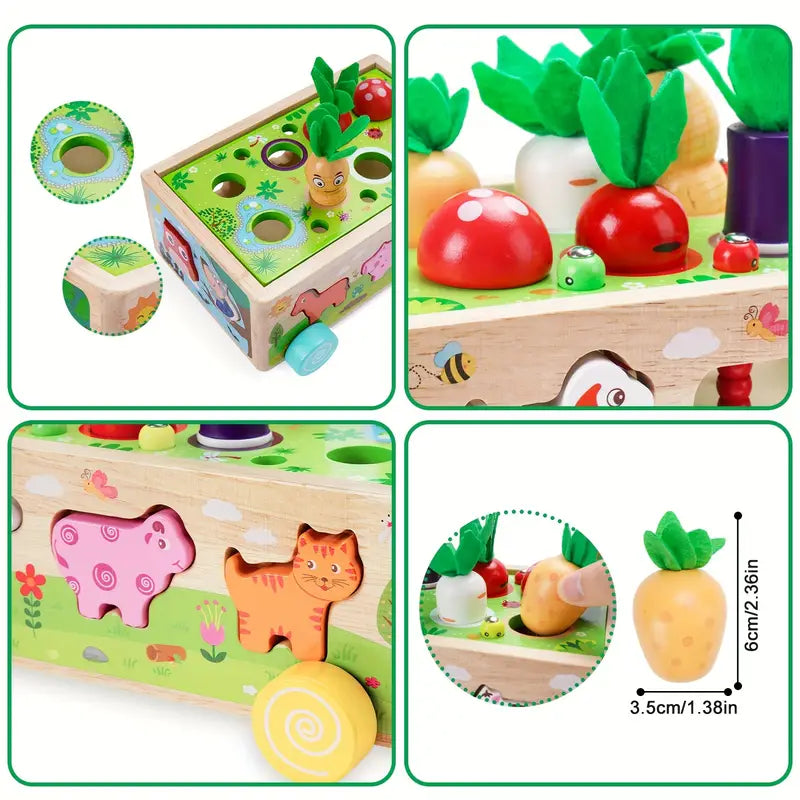 Vibrant Wood Educational Building Blocks