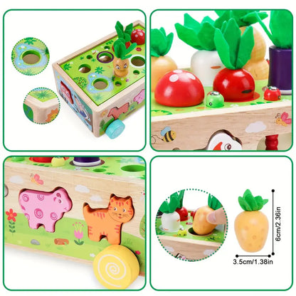 Vibrant Wood Educational Building Blocks