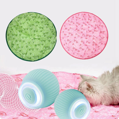 Fun Electronic Pet Play Ball