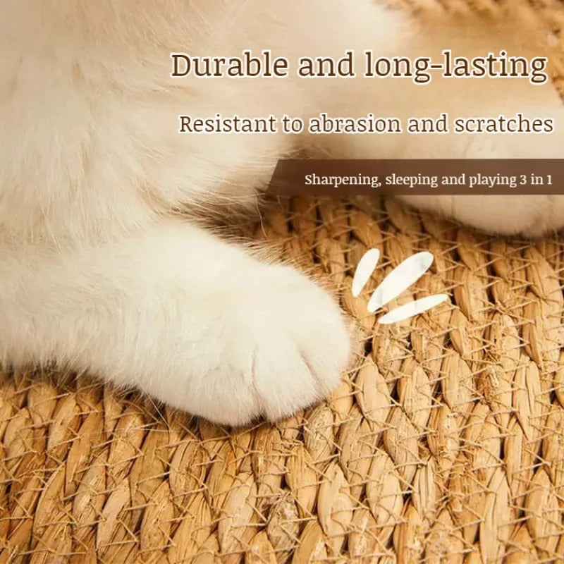 Cat Scratching Post Luxury Matte Tower