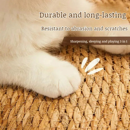 Cat Scratching Post Luxury Matte Tower