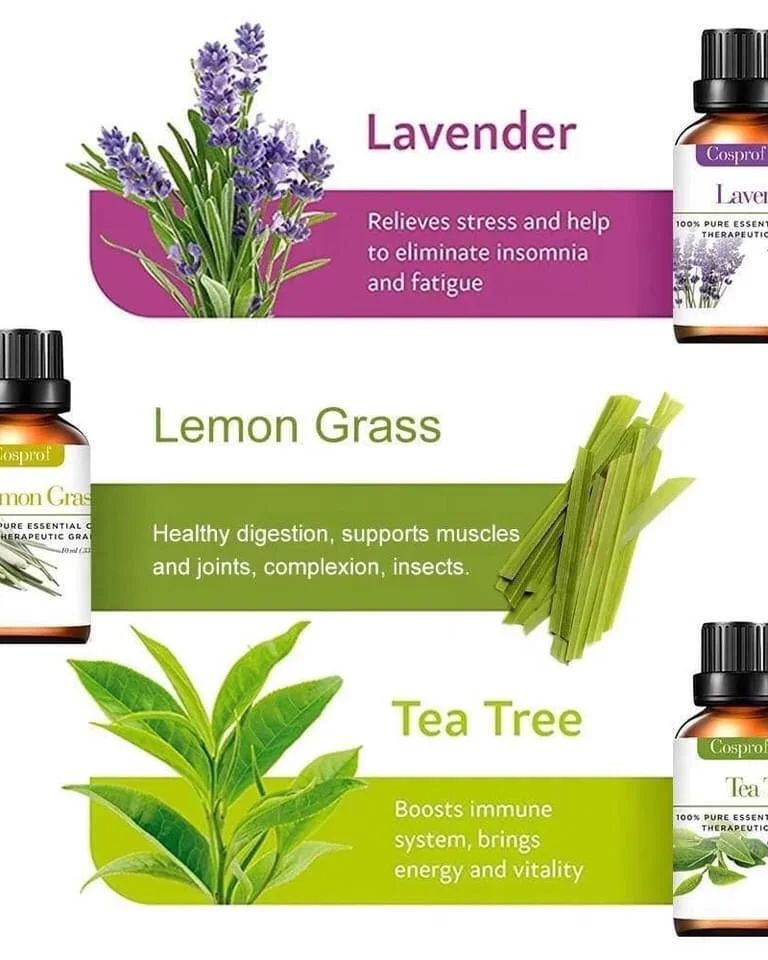 Relaxing 12pc Essential Oil Starter Set