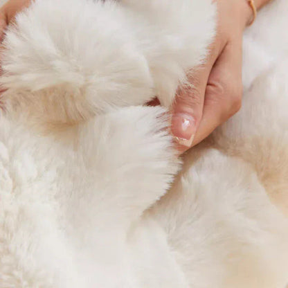 Soft Cozy Fleece Blanket