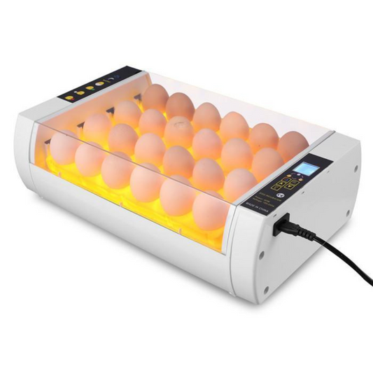 Big Automatic 24 Egg Incubator for Chicken Quail Eggs - Luxicro