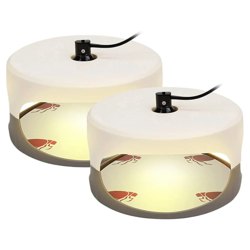 Effective Bed Bug Catcher Trap - Luxicro