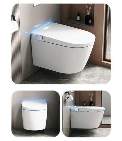 Luxury Heated Bidet Toilet Seat