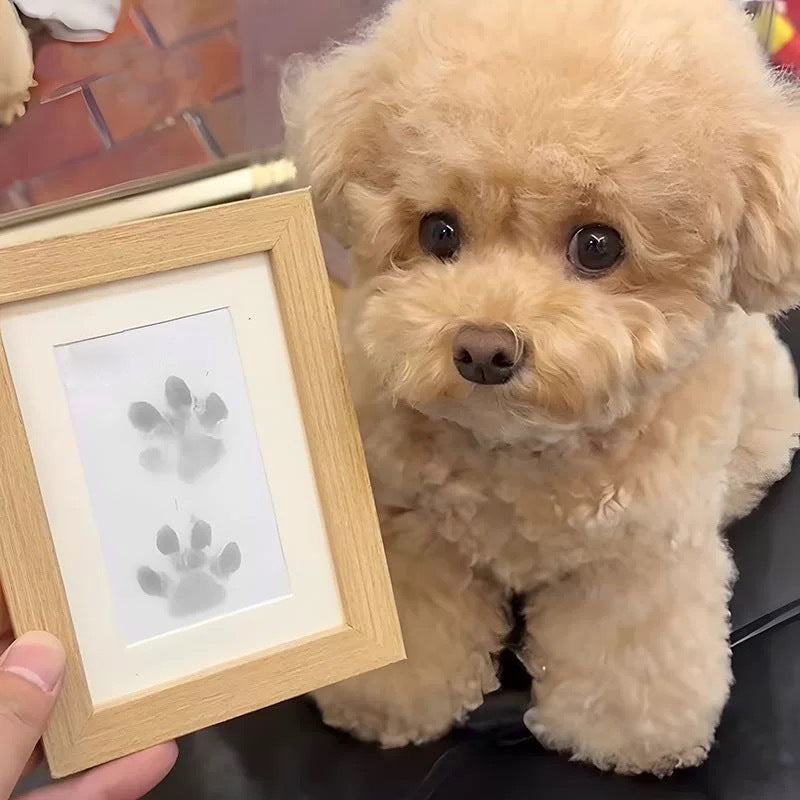 Customizable Dog Paw Photo Frame