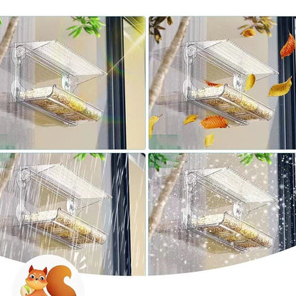 Simple Hang Window Bird Feeder House
