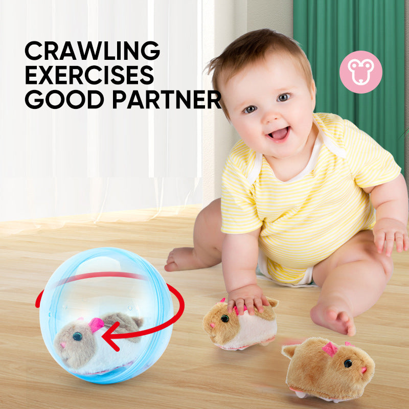 Bouncy Pet Play Ball Toy