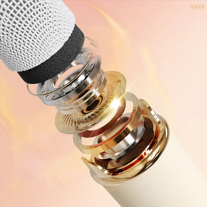 Compact Karaoke Machine & Bluetooth Wireless Speaker
