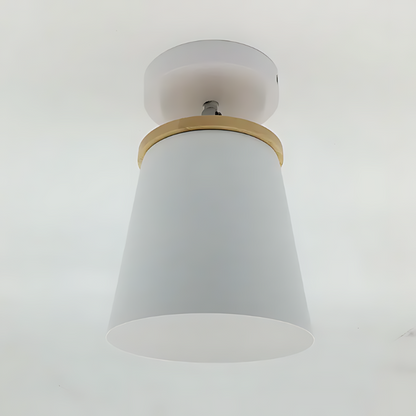 Elegant Circular Hanging Lamp