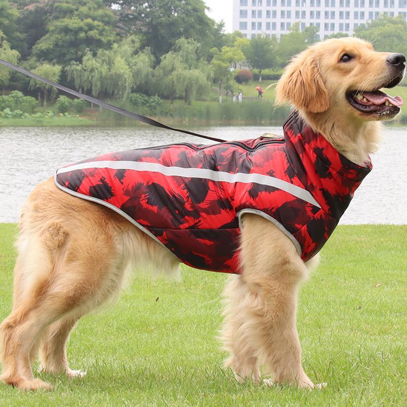 Warm Insulated Dog Jacket for Cold Weather