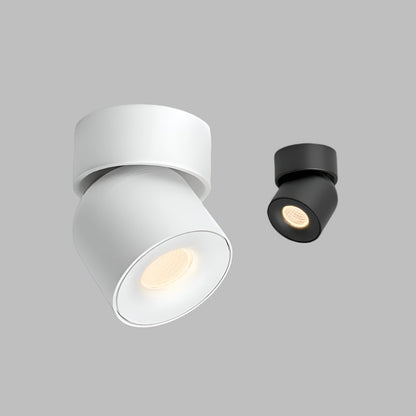 Adjustable 360° Rotating LED Ceiling Light Fixture