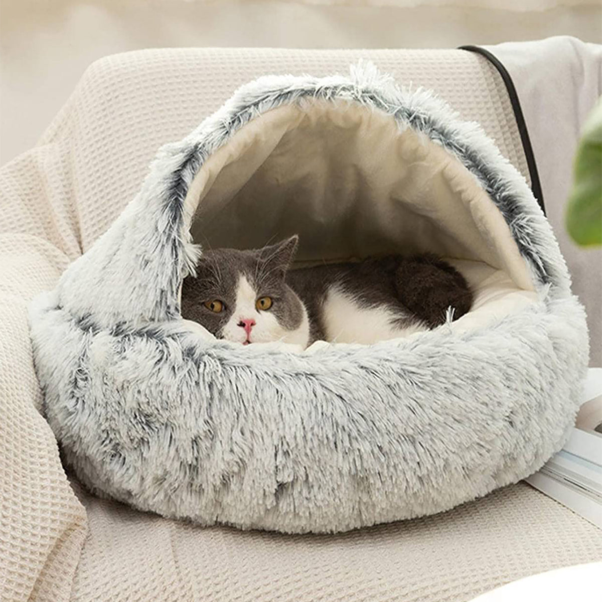 Cozy Pet Bedding for Calm Sleep