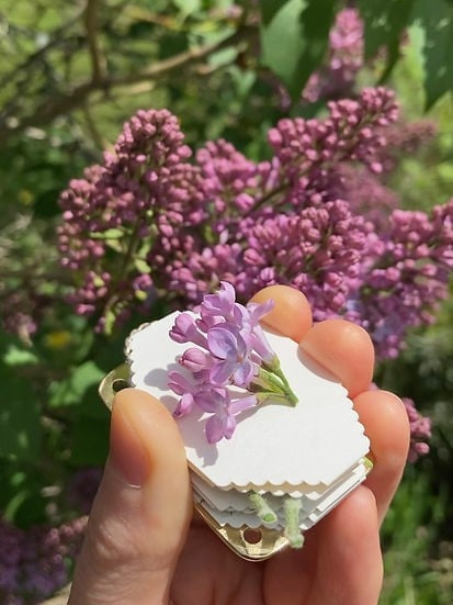 Easy Flower Drying Kit Home Preservation